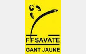 GANT JAUNE