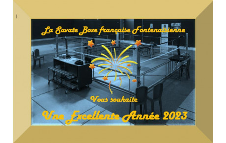 Meilleurs Vœux 2023